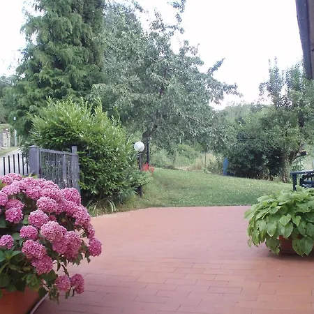 Terrasanta