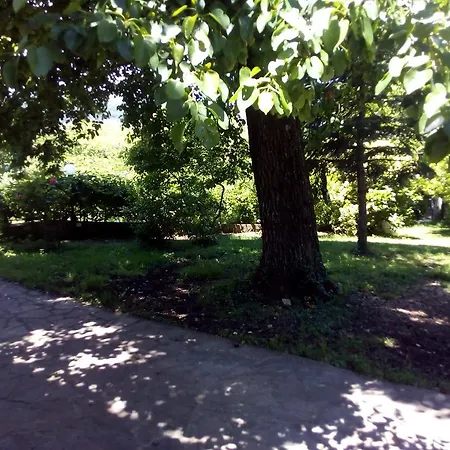 Terrasanta