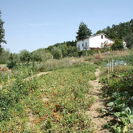 Terrasanta Appartamento *